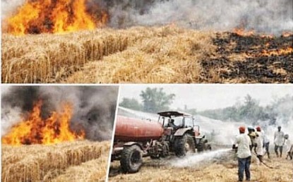 ਅੱਗ ਦਾ ਕਹਿਰ: 400 ਏਕੜ ਤੋਂ ਵੱਧ ਕਣਕ ਦੀ ਫਸਲ ਸੜ ਕੇ ਸੁਆਹ-