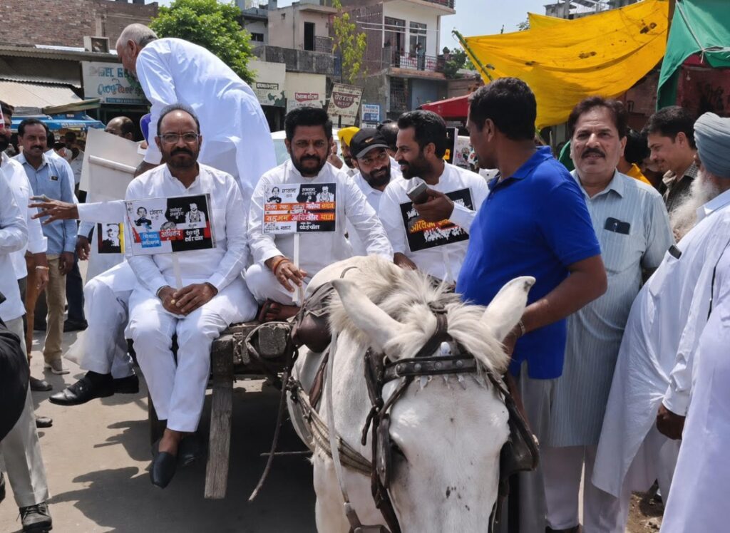 ਜਲਾਲਾਬਾਦ ਵਿੱਚ ਮਹਿੰਗਾਈ ਖ਼ਿਲਾਫ਼ ਕਾਂਗਰਸ ਦਾ ਪ੍ਰਦਰਸ਼ਨ: ਗੈਸ ਸਿਲੰਡਰ ਲੈ ਕੇ ਸੜਕਾਂ ’ਤੇ ਉੱਤਰੇ ਵਰਕਰ, ਭਾਜਪਾ ’ਤੇ ਵਿੰਨਿ੍ਹਆ ਨਿਸ਼ਾਨਾ