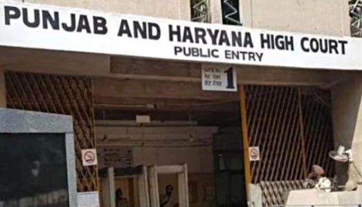 ‘ਉਮੀਦਵਾਰਾਂ ਦੀ ਨਾਮਜ਼ਦਗੀ ਰੱਦ ਬਾਰੇ 48 ਘੰਟਿਆਂ ’ਚ ਦੱਸਿਆ ਜਾਵੇ ਕਾਰਨ’, ਹਾਈਕੋਰਟ ਨੇ ਪੰਜਾਬ ਚੋਣ ਕਮਿਸ਼ਨ ਨੂੰ ਦਿੱਤੇ ਹੁਕਮ