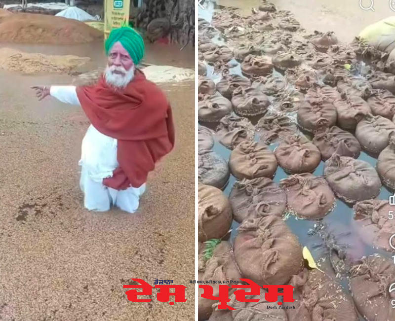 ਪੰਜਾਬ ਚ ਬੇ- ਮੌਸਮ ਬਰਸਾਤ ਕਿਸਾਨਾਂ ਤੇ ਪਈ ਭਾਰੂ -ਕਿਸਾਨਾਂ ਦੇ ਚਿਹਰੇ ਮੁਰਝਾਏ -ਮੰਡੀਆਂ ਚ ਕਰੋੜਾਂ ਦਾ ਲੱਖਾਂ ਟਨ ਖੁੱਲਾ ਅਤੇ ਬੋਰੀਆਂ ਚ ਮੰਡੀਆਂ ਚ ਮੀਂਹ ਦੇ ਪਾਣੀ ਡੁੱਬਿਆ -ਸਰਕਾਰ ਦੇ ਖਰੀਦ ਪ੍ਰਬੰਧਾਂ ਤੇ ਲੱਗਿਆ ਪ੍ਰਸ਼ਨ ਚਿੰਨ